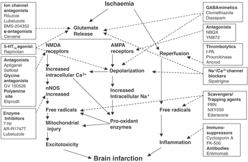 Novel Pharmacological Approaches for Neuroprotection in Acute Stroke